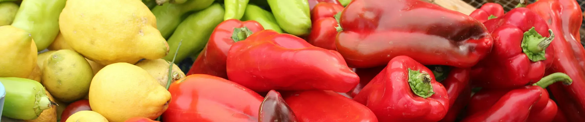 How Glycemic Index Testing Services Enhance Product Development