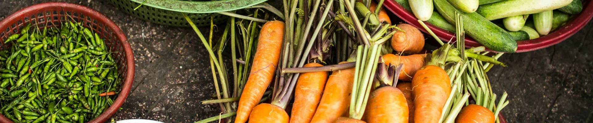 How PDCAAS Analysis Enhances Nutritional Testing Services