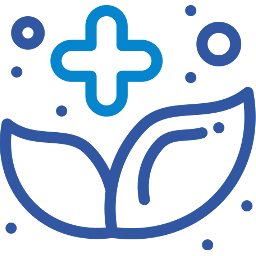 Identification and Authentication