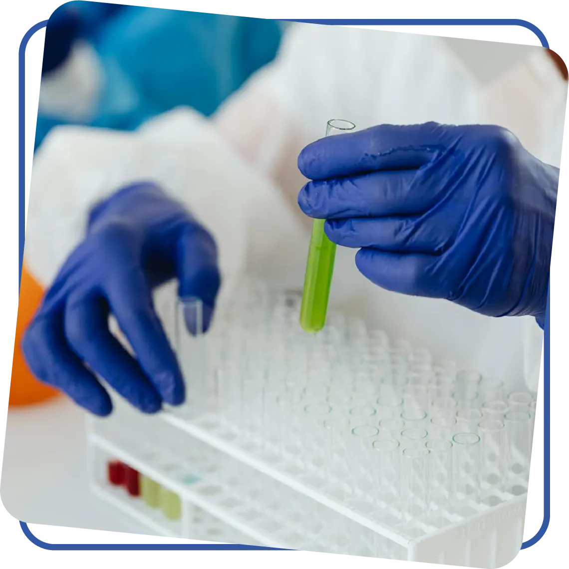 Bioanalytical Services