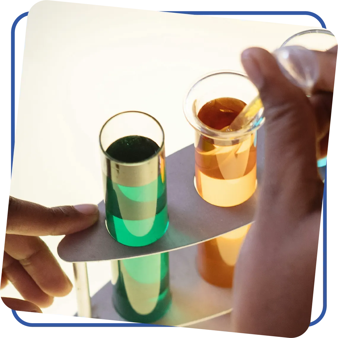 Stability and Compatibility Studies